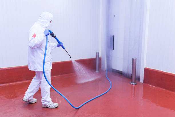 Best Patio and Deck Pressure Washing  in Mount Kisco, NY